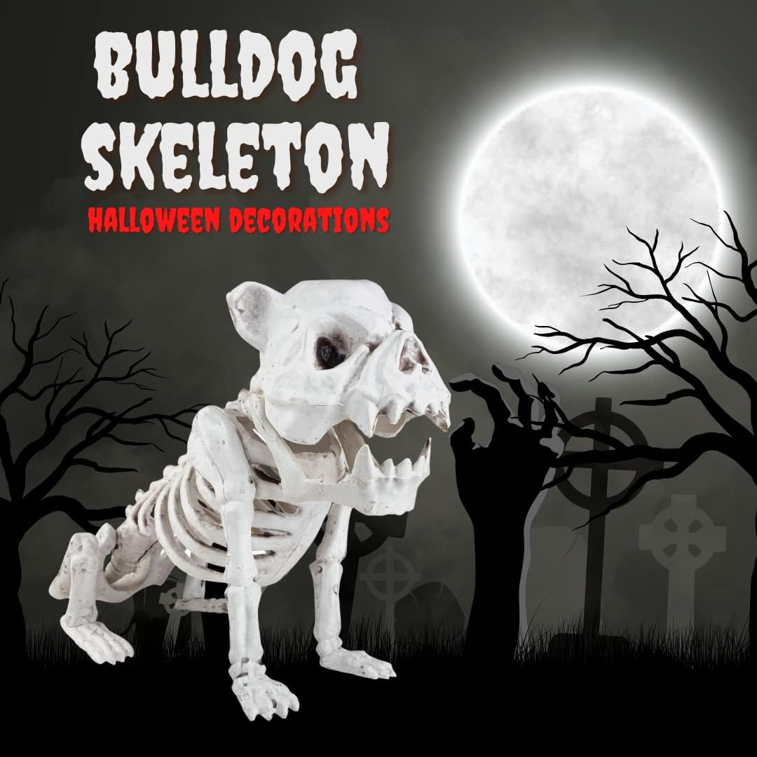 SCS Direct French Bulldog Dog Skeleton Halloween Decoration-16 Long-Weather Resistant for Indoor/Outdoor- Upgrade Your Fall Graveyard Haunted House Party Props
