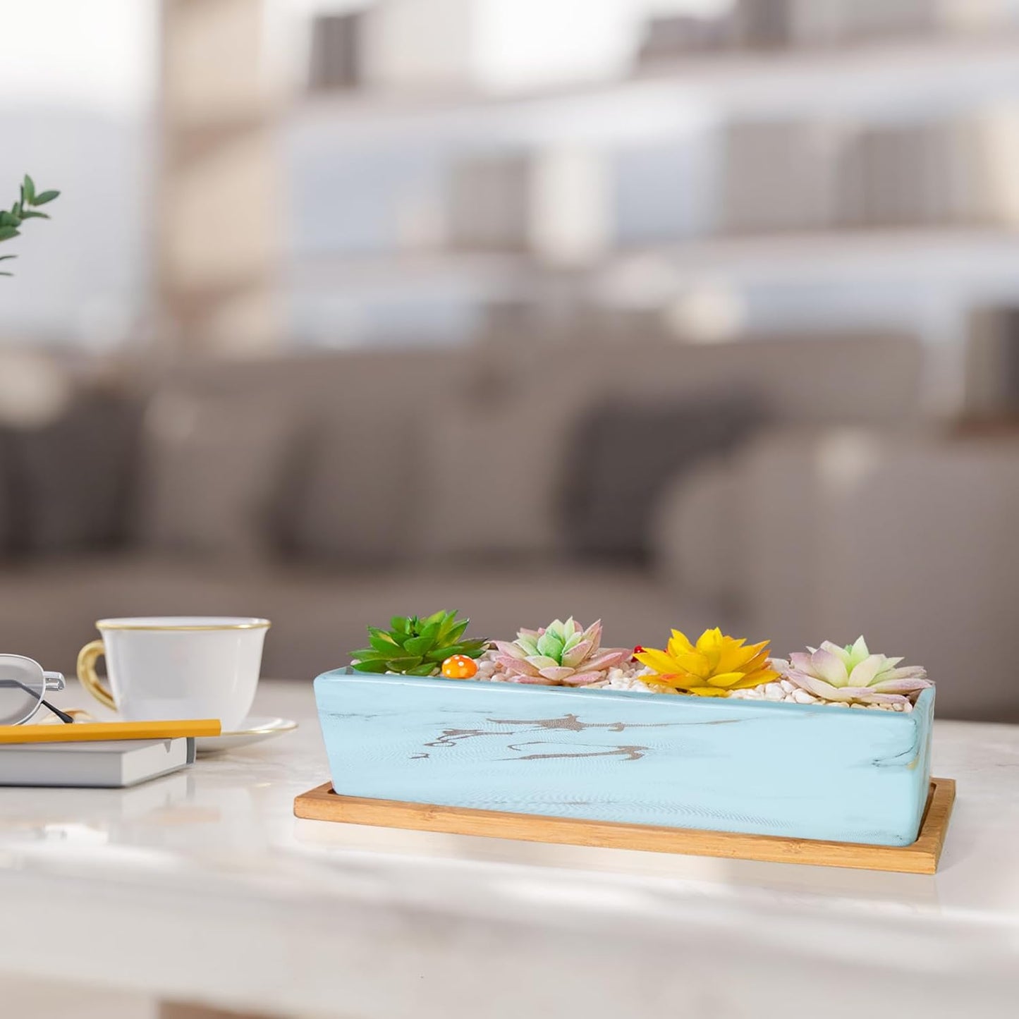 Succulent Pots - 12.1 Inch Large Succulent Pots with Drainage Tray, Window Sill Planter, Long Rectangle Ceramic Pots for Indoor Cactus/Succulent Plants Shallow Bonsai Window Box for Home Garden Decor