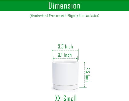 D'vine Dev Set of 4 Small Ceramic Plant Pots, 3.5 Inch Succulent Planter Pot for Plants with Drainage Hole and Saucer, White, 94-X-A-1