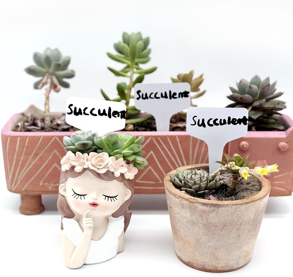 100 T-Type Plastic Plant Labels (Garden Markers Waterproof Signs for Outdoor Plant Tags Plant Markers Supplies (NO Pen) Plant T-Type Tags Indoor Herb Nursery Garden Labels