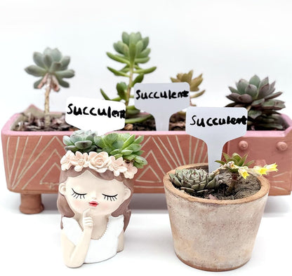 100 T-Type Plastic Plant Labels (Garden Markers Waterproof Signs for Outdoor Plant Tags Plant Markers Supplies (NO Pen) Plant T-Type Tags Indoor Herb Nursery Garden Labels