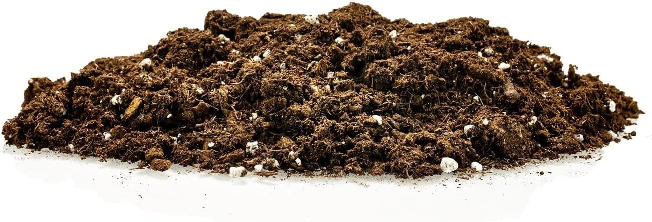 GARDENERA Citrus Tree Potting Soil Mix - 10 Quart - Special Blend for Indoor Oranges, Lemons, Limes and More - (2 Bags of 5 Quart)
