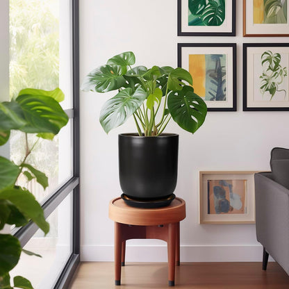 Ceramic Planter 10 Inch - Ceramic Pot for Indoor Plants Outdoor Plant Pot with Drainage Hole and Saucer Cylinder Flower Pot Black