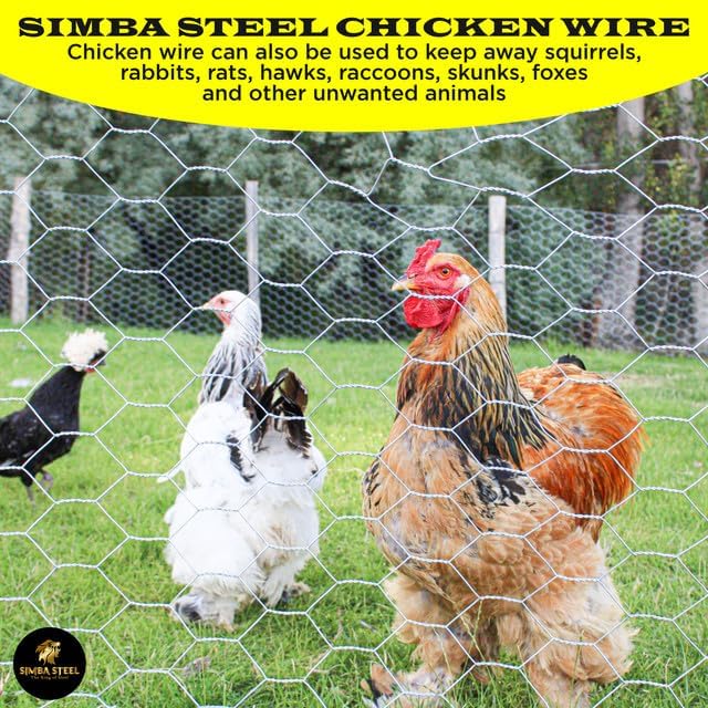 Chicken Wire 72 in x 100 FT x 2” Mesh x 20GA | Poultry Wire Netting | Hot Dipped Galvanised | Hexagonal Galvanized Mesh for Chicken Coop, Rabbit Cage, Fence Barrier PM72x100x2