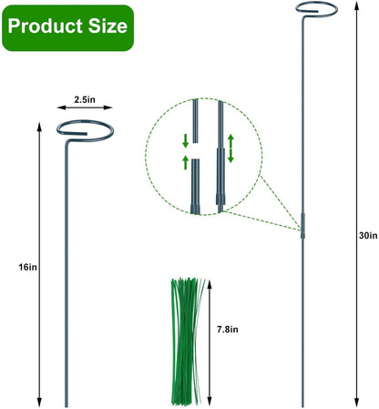 4 Pack Plant Support Stakes, 16/32 Inch Garden Stakes for Plants, Plant Accessories with 50 PCS Twist Ties for Indoor Outdoor Potted Tomato Vegetables Amaryllis Monstera Rose Peony Marigold