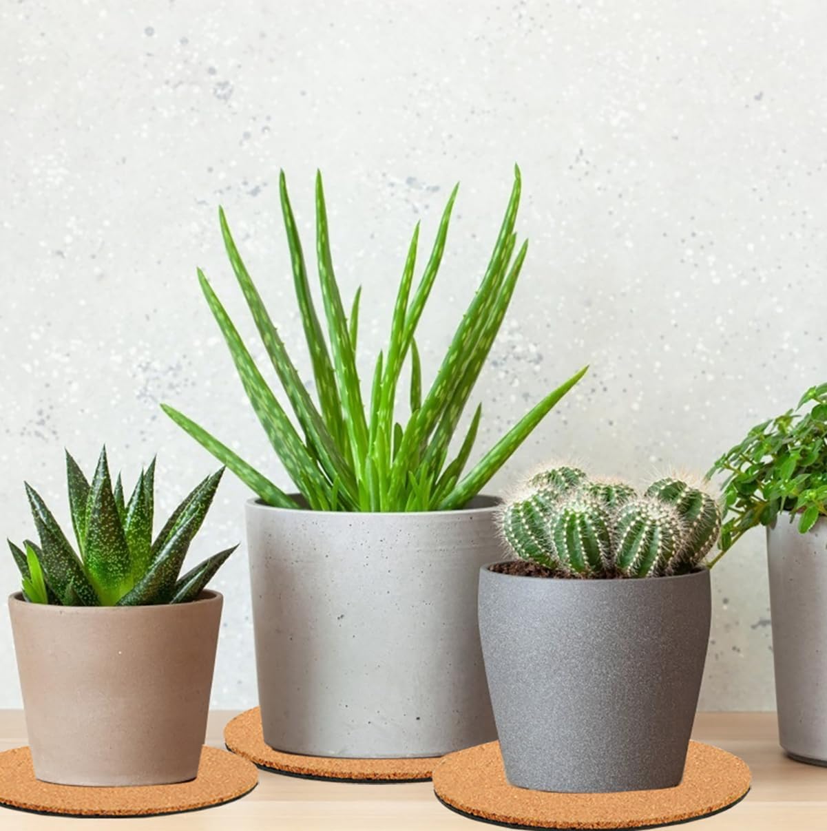 3 Pieces Cork Plant Coasters, 8 Inch Cork Plant Mats, Plant Coasters for House Plants Indoors (Nude & Black)