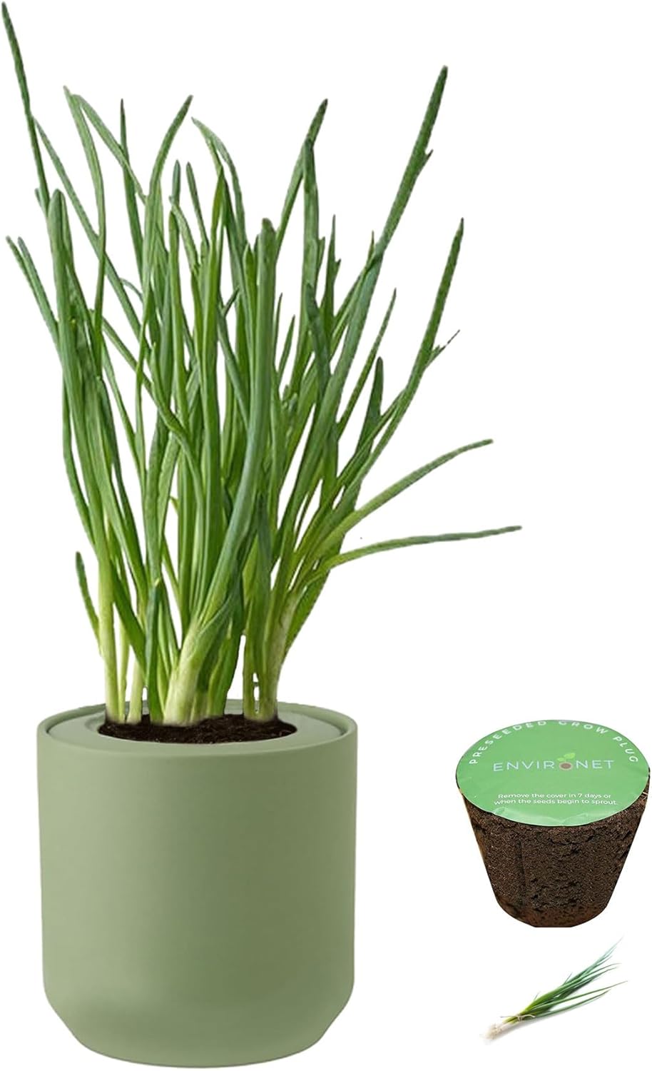 Hydroponic Herb Growing Kit, Self-Watering Kitchen Herb Garden Starter Kit with Green Ceramic Pot and Seeds (Bunching Onion)