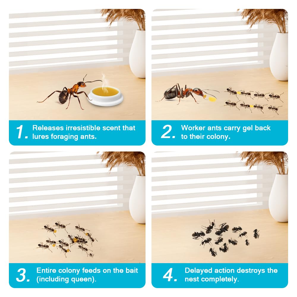 64 Pack Ant Killer Gel Bait, Long Lasting Indoor & Outdoor Ants Bait for Effective Ant Control, Safe & Easy to Use Pest Control for All Common Household Ants, Mess-Free Gel Stations