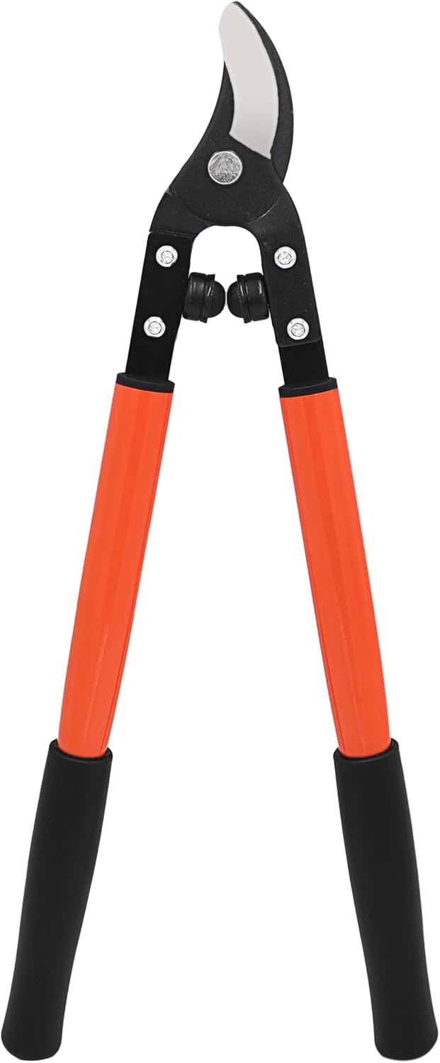 Zenport MV145 Professional Vine and Light Tree Lopper, 1.25-Inch Cut, 20-Inch