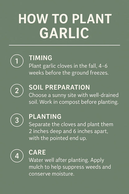 Garlic Bulbs for Seed - Fresh California SOFTNECK Garlic for Planting - Grow Your Own Garlic (5 Bulbs)