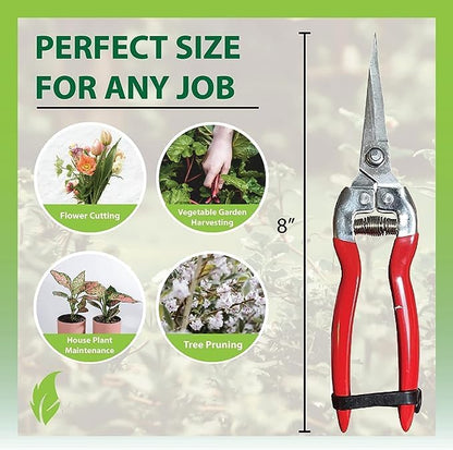 Garden Guru Straight Stainless Steel Pruner Pruning Shears Clippers Snips Sharp Bonsai Cutter Plant Trimming Scissor Straight Blade Garden Scissors Tool -Great for Roses Flowers Herbs Fruits (4 Pack)
