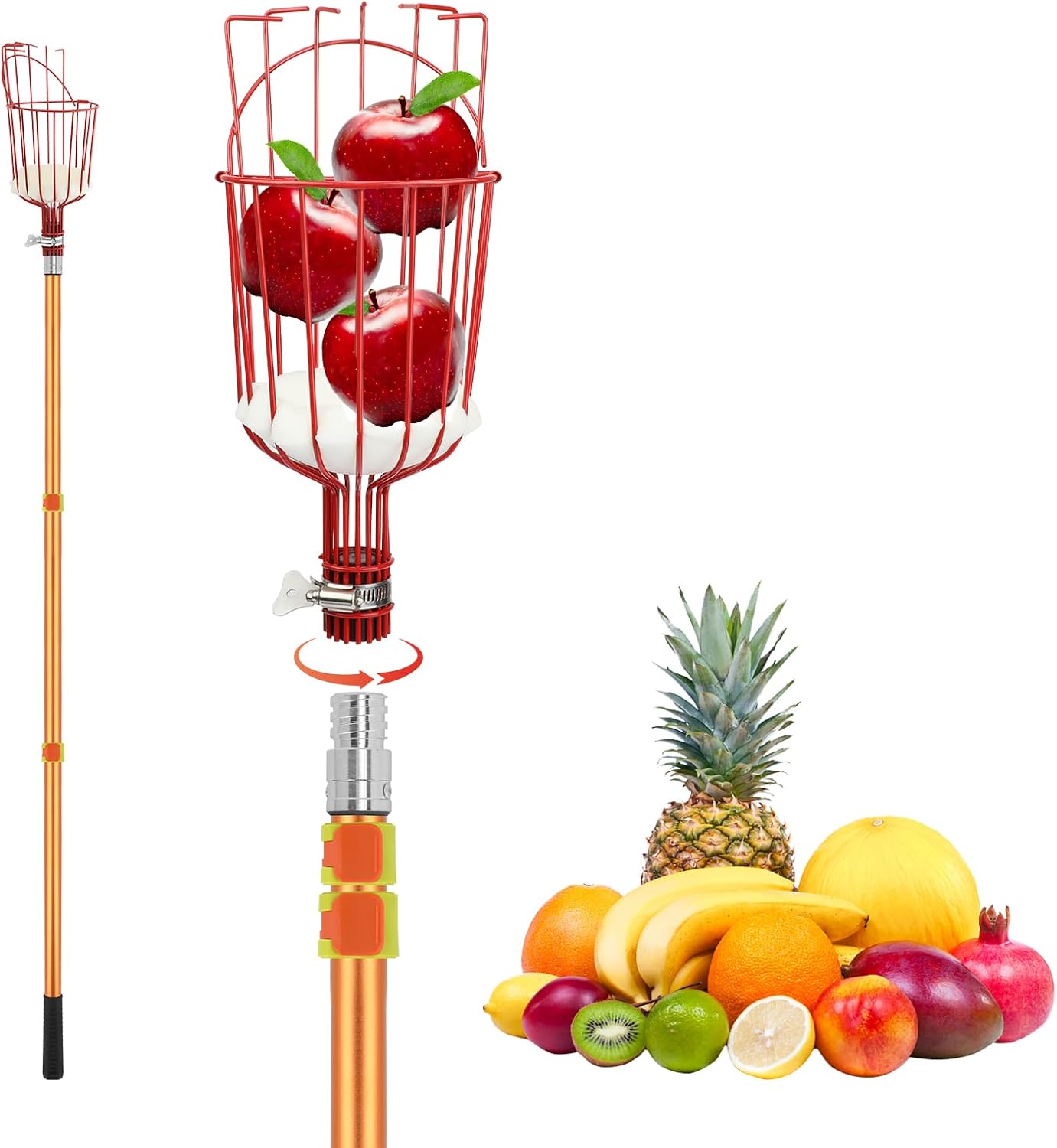 SANLIKE Fruit Picker Tool 8FT Telescoping Fruit Picker Pole, Easy to Assemble Twist-On Apple Basket, Lightweight Aluminum Fruit Picking Equipment for Getting Fruits Apple Orange Pear Mangoes
