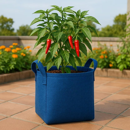 Square Geo Fabric Grow Bag 400 GSM Durable Breathable UV Resistant Reusable Plant Container for Herbs, Vegetables Flowers Space Saving Gardening Pack of 2 (Green, 15 inch) (Blue)