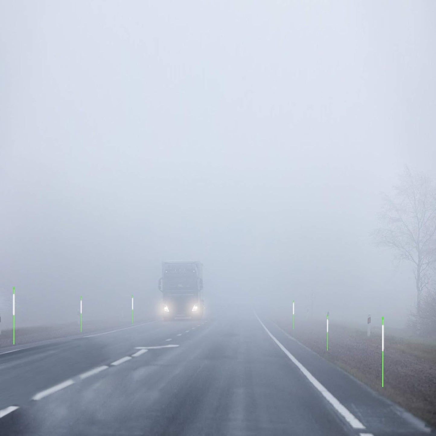 Driveway Markers Snow Stakes 48 inch Green Plow Stakes Reflective Fiberglass, Pack of 100 for Parking Lots, Walkways