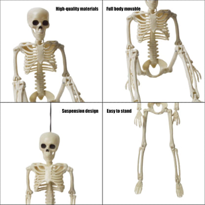 6 Pcs Realistic Spooky Scary Skeletons for Halloween, 16 Inch Outdoor Skeletons Decorations, Skeleton Bulk with Movable Joints for Garden Haunted House Props
