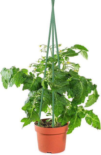 Sunnyglade 72 Inch Garden Stakes, Tomato Stakes Plastic Coated Metal Plant Sticks Stakes Supports for Indoor Outdoor Plants Vegetable (30)