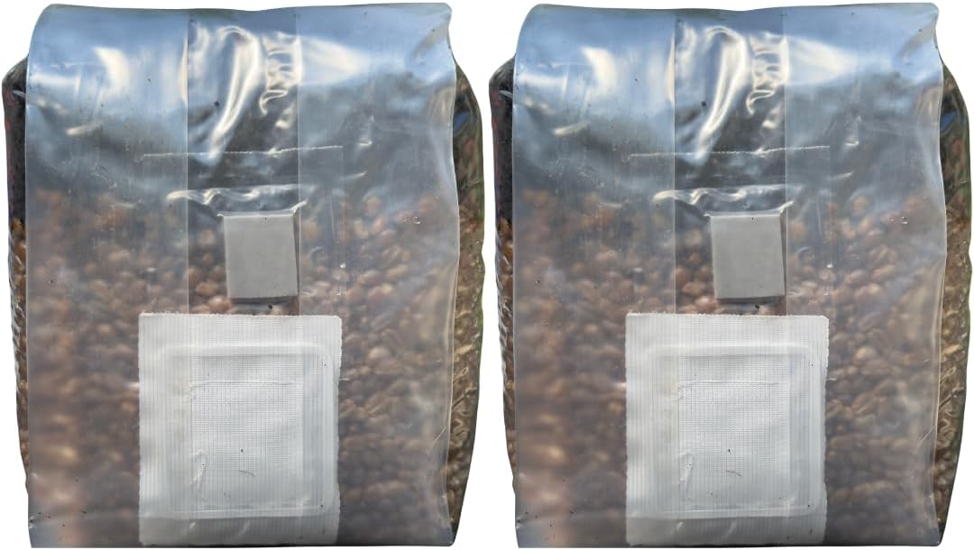 Mushroom Grow Kit - Magic All in One Mushroom Grow Bags (Pack of 2)