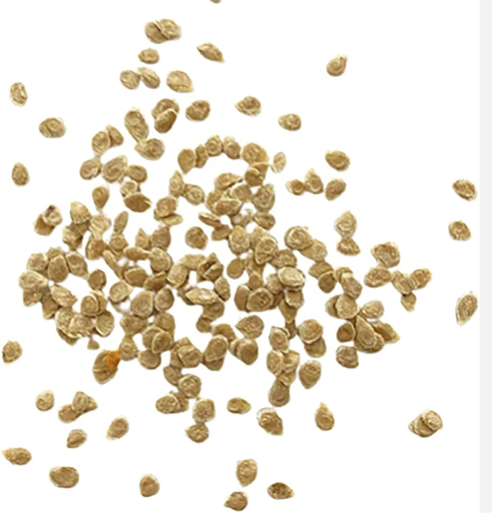 Bradley Tomato Seeds - Determinate Tomato which Makes Canning Easier as The Tomatos Ripen at The Same Time - 100 Seeds