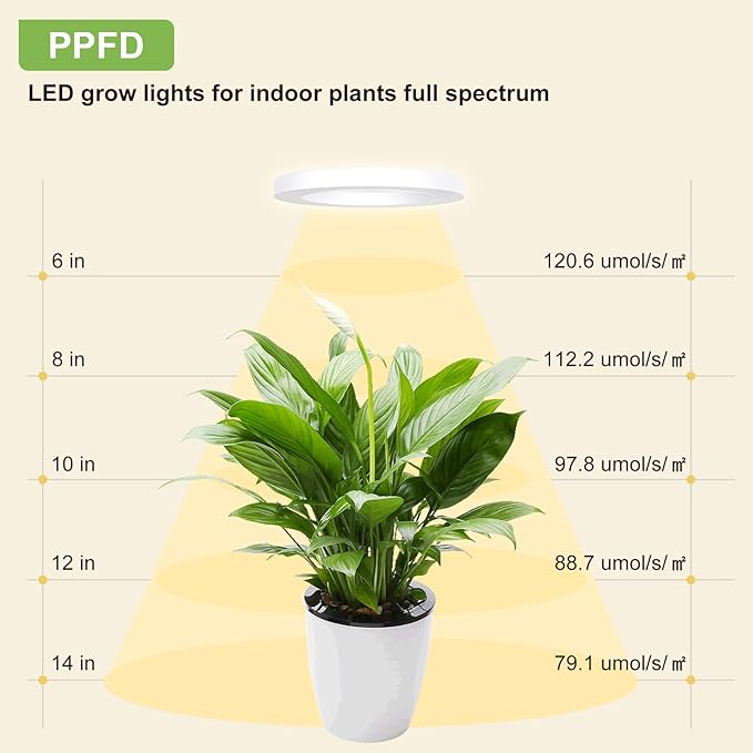 Full Spectrum Grow Light for Indoor Plants, 216 LEDs Halo Plant Light with Auto On/Off Timer (4/8/12H), 10-Level Brightness, 3 Lighting Modes, for Small Plants & Seedlings (White, Tri Head)