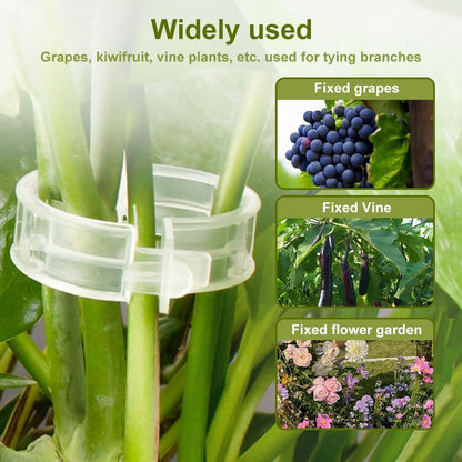 Plant Support Clips Reusable Garden Clips, Secured Plastic Plant Clips, Tomato Support Clips for String Trellis for Climbing Plants Outdoor Indoor Plant Flowers Stem Vine Fixing Clips (100, Green)