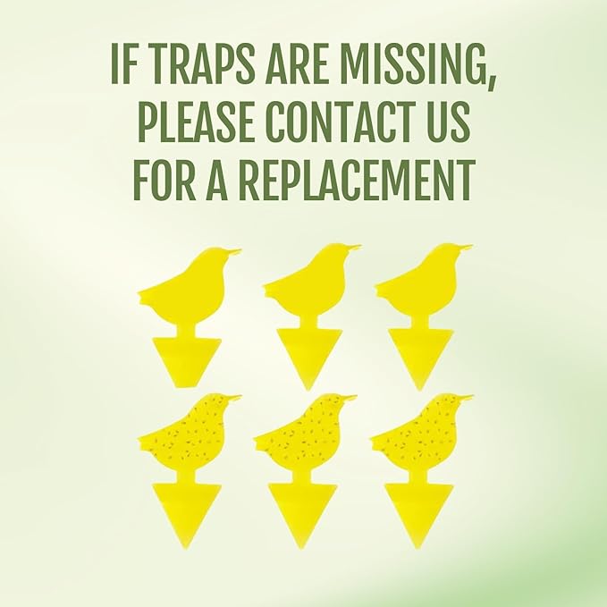 Kate's Home & Garden Plant Spray for Insects & Getting Rid of Gnats with 12 Sticky Traps. Fungus Gnat Killer & Bug Spray for Indoor Plants (16oz, Cedarwood, Pet Safe, Non Toxic)