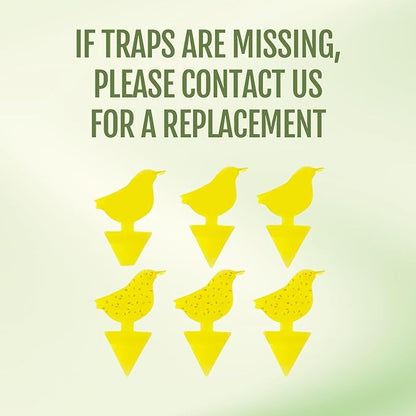 Kate's Home & Garden Plant Spray for Insects & Getting Rid of Gnats with 12 Sticky Traps. Fungus Gnat Killer & Bug Spray for Indoor Plants (16oz, Cedarwood, Pet Safe, Non Toxic)