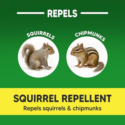 Squirrel Repellent, Chipmunk Repellent Outdoor, Squirrel Deterrent Balls, Safe for Garden, Attic, Bird Feeders, Garage, Lasting 60 Days-12 Packs