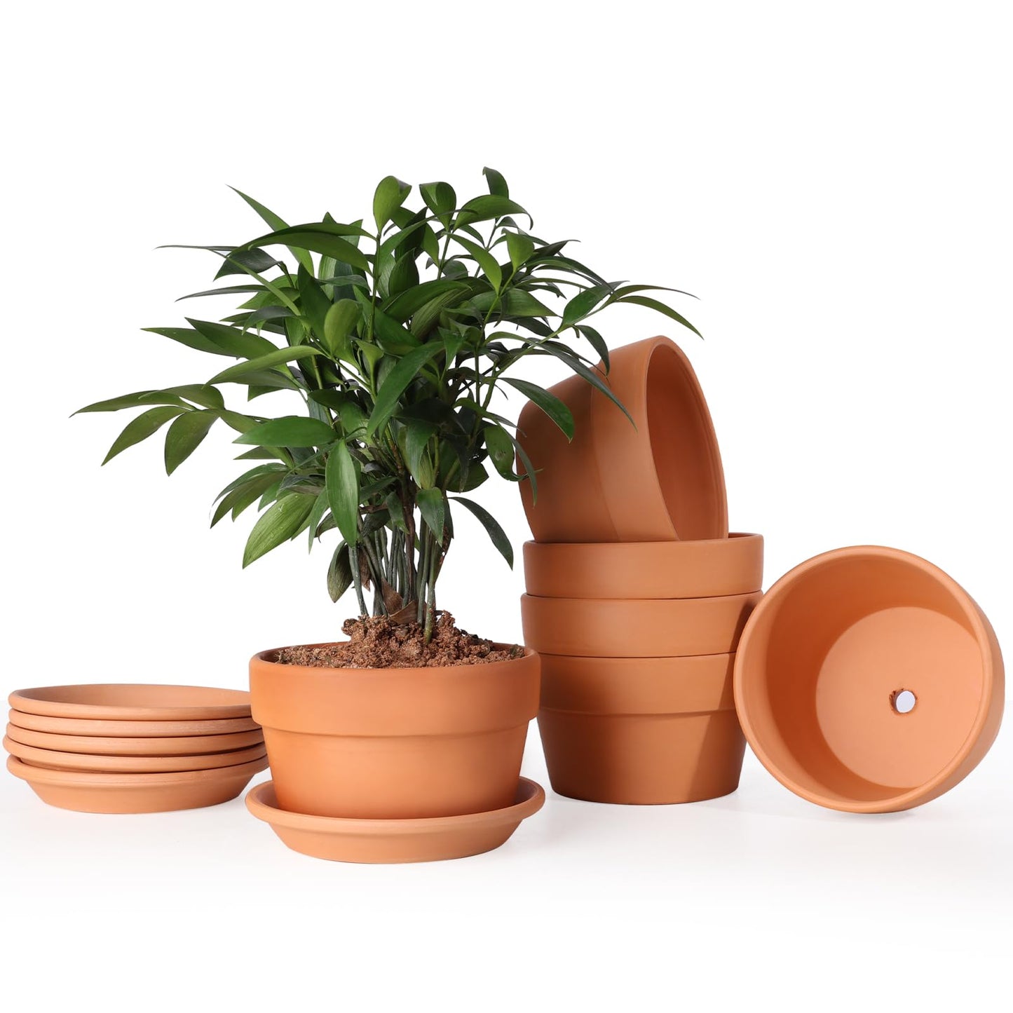 INGOFIN 5 Inch Terracotta Shallow Pots Set with Saucer - Ceramic Clay Pots with Drainage Hole