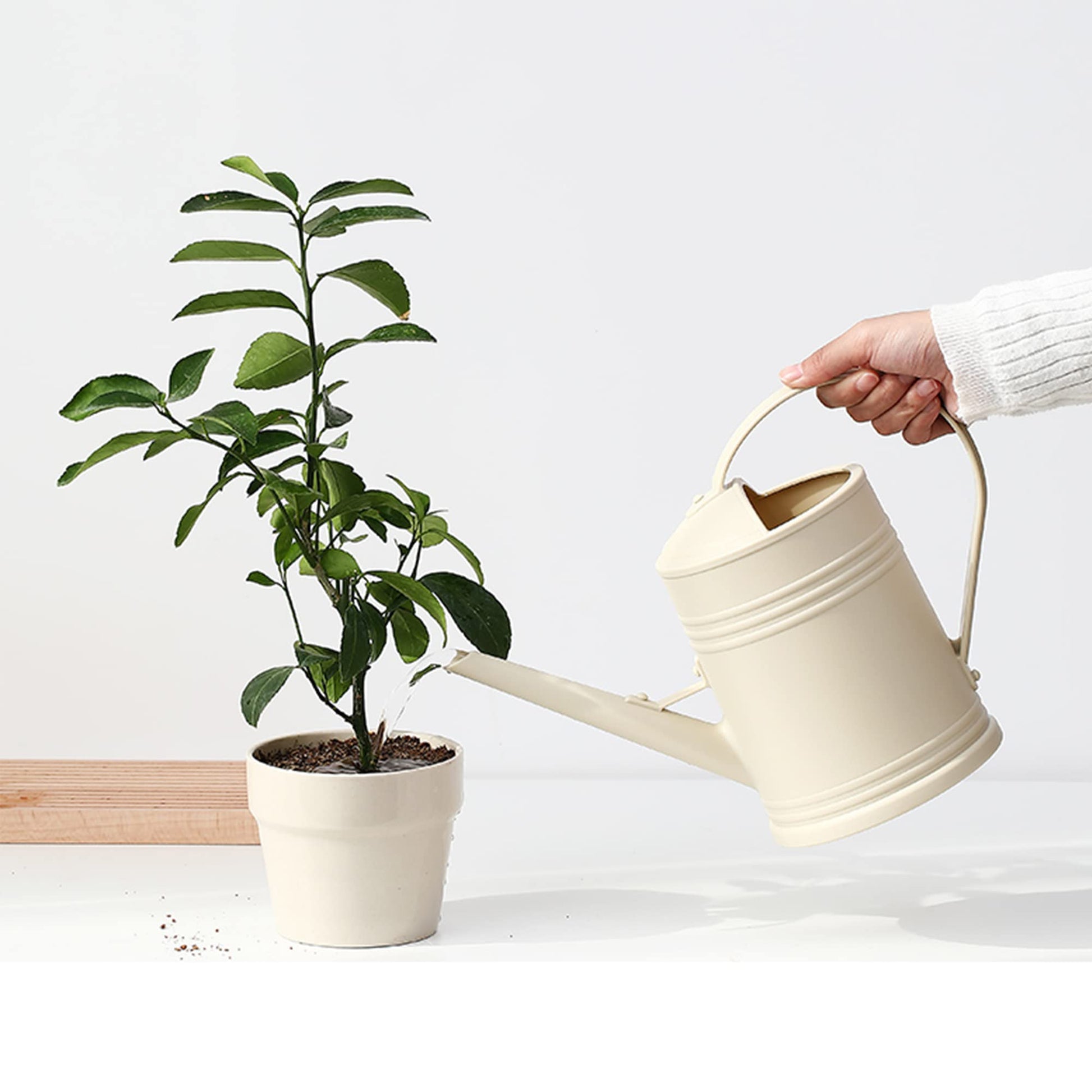 Watering Can for Indoor Plants, Flower Watering Can, Plastic Water Can for Plants with Sprinkler
