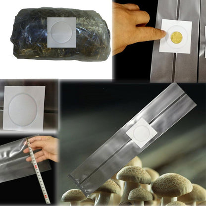 SUCOHANS 10 Count Mushroom Bags - Medium Size 5" X 5" X 19", 0.2 Micron Filter, 2.5 Mil Polypropylene, Sealable Spawn, Farm Mushroom Spawn, Autoclavable Substrate