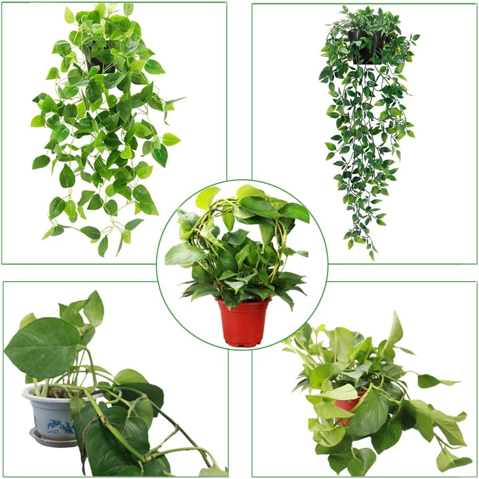 2 Pack Circle Trellis for Climbing Plants Indoor, 15" Gold Small Plant Support Stakes, Flower Houseplant Hoya Support for Potted Plants & Garden Stem Vines