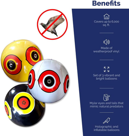 Bird-X SE-Pack Visual Decoy, 3 Count (Pack of 2), Yellow, Black, and White