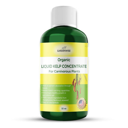 Organic Premium Kelp Seaweed Fertilizer: Indoor Plant Fertilizer & Carnivorous Plant Food for Venus Flytraps, Sundews, Drosera Capensis,Pitcher Plants,Butterworts & Other (32 OZ)