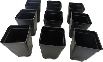 2.5" Square Extra Deep Landmark Nursery Pots - Press Fit (800)