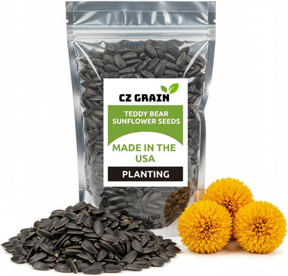100 Teddy Bear Sunflower Seeds for Planting – Ultra-Fluffy Golden Blooms with Round Heads – Perfect for Gardens, Containers, and Pollinator-Friendly Landscaping - Unique and Fun