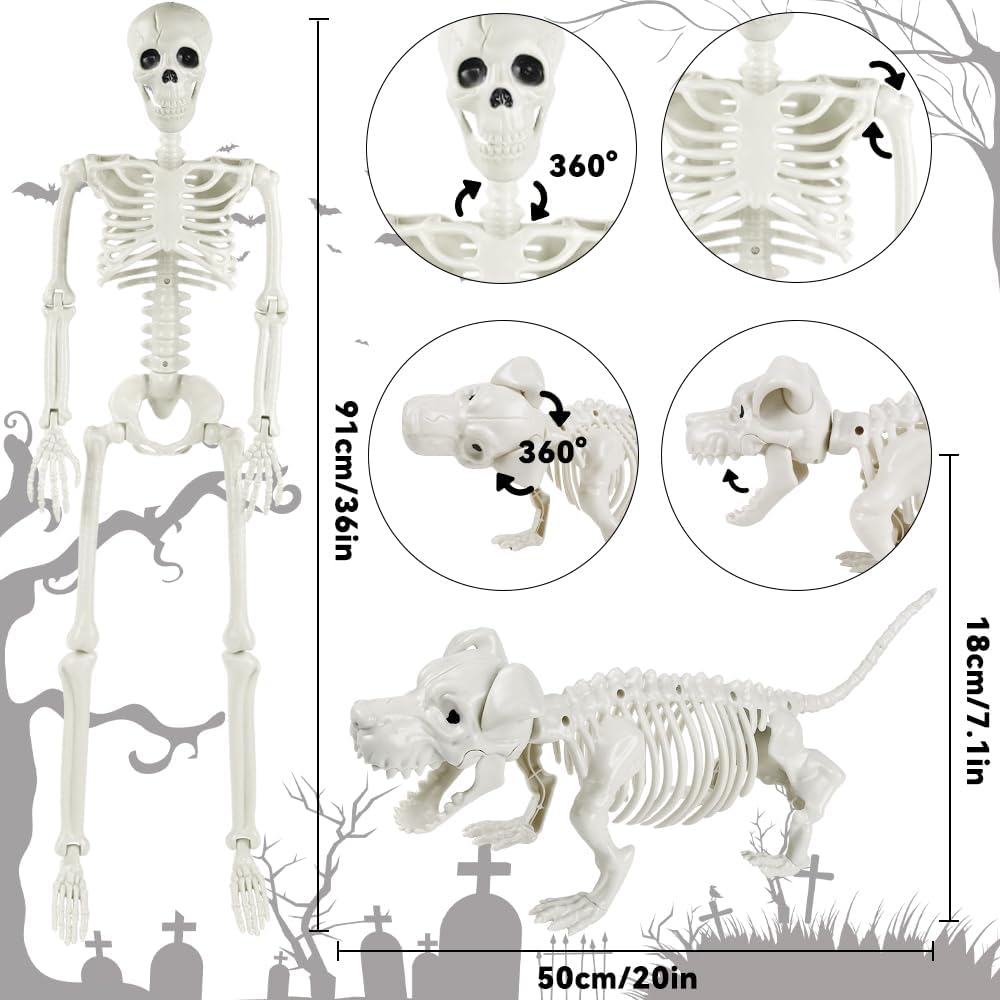 YUJUN 36'' Halloween Skeleton Decoration with Dog Skeleton, 3ft Full Body Posable Skeleton Realistic Plastic Bones Movable Joints for Halloween Party Yard Haunted House Props Indoor Outdoor Decor