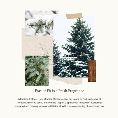 Thymes Frasier Fir All-Purpose Cleaning Wipes – Multi-Purpose Cleaning Wipes – Safe for Countertops, Walls, and Other Non-Porous Surfaces – Cruelty Free Surface Wipes (1 Pack of 48 Wipes)