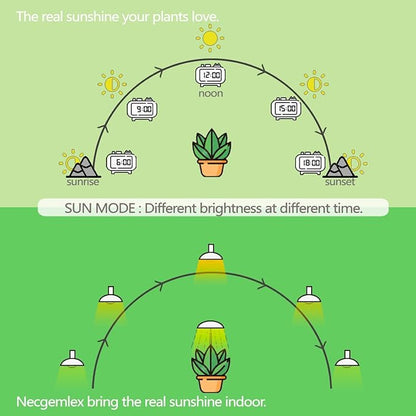 Smart LED Grow Light Bulbs with Remote Controller, Sun Mode, Built-in Daily Auto Timer, 4500K, A21/A70 E26/E27 9W Dimmable Full Spectrum Grow Bulbs for Indoor Plants, 2 Pack