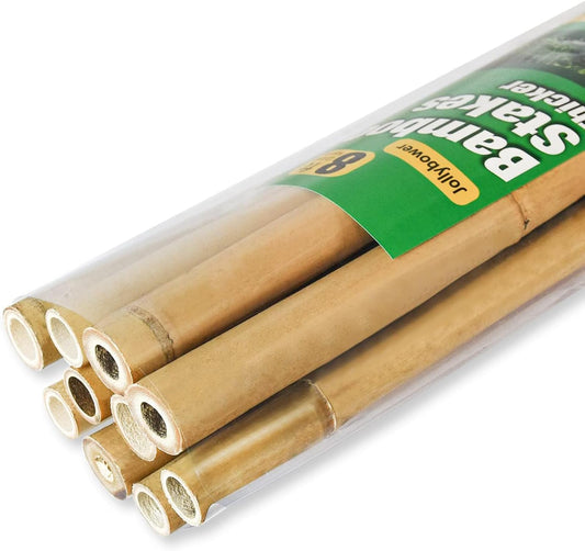 10pcs 1" D Thicker Heavy Duty Bamboo Stakes, 8FT Plant Stakes, Natural Garden Stakes for Tomato, Bean, Flowers,Trees Potted and Climbing Plant Support