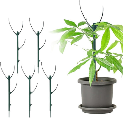 5 Pack Stackable Monstera Plant Support, Plant Stakes for Indoor and Outdoor Plants Use, Garden Stakes for Climbing and Potted Plants, Pothos, Philodendron