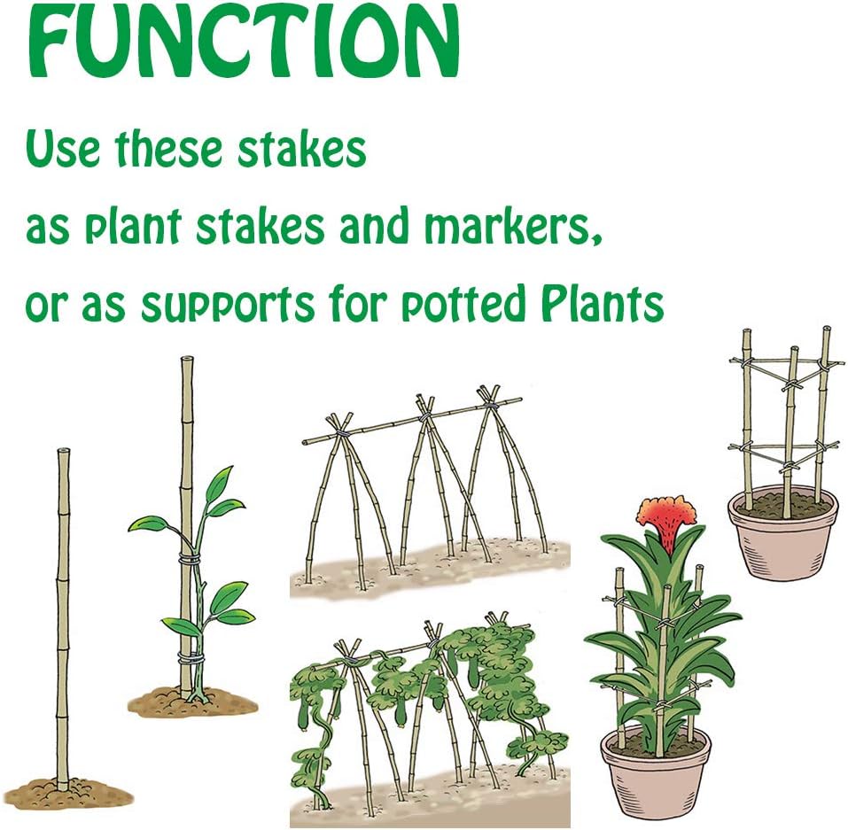 Mininfa Natural Bamboo Stakes 6 Feet, Eco-Friendly Garden Stakes, Plant Stakes Supports Climbing for Tomatoes, Trees, Beans, 20 Pack