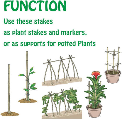 Mininfa Natural Bamboo Stakes 6 Feet, Eco-Friendly Garden Stakes, Plant Stakes Supports Climbing for Tomatoes, Trees, Beans, 20 Pack