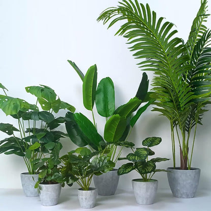 Plant Pots Indoor 7.5/6.5/6/5/4/3.5 Inch Set of 6 Plastic Planters for Indoor Plants with Drainage