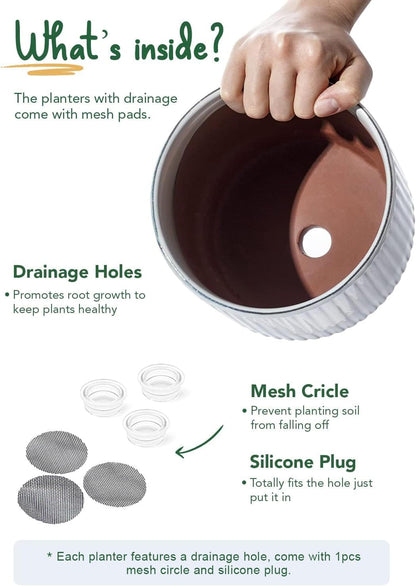 LE TAUCI Ceramic Pots for Plants, 8+6.7+5.5 Inch Plant Pots Indoor, Flower Pot with Drainage Holes, Medium Cylinder Planters for Indoor House Plants, Set of 3, Reactive Glaze White