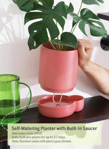 5.5 Inch Ceramic Self Watering Planters with Absorbent Cotton Rope, Cylinder Round Flower Pot for Succulent, Herbs, African Violets, Pink, 1 Pack
