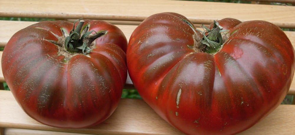 Seeds Vegetable Tomato Black Prince - 50 Seeds