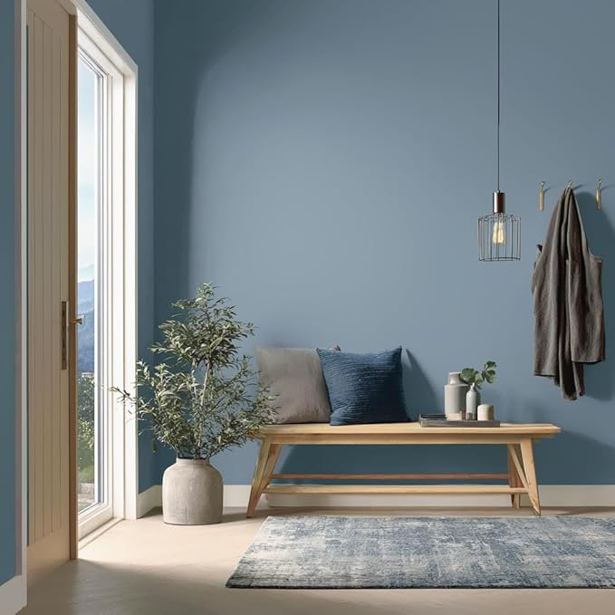 EVOLVE Paint & Primer: Environment-friendly, Eggshell with One-coat Coverage for Interior & Exterior surfaces (River Blue, 5-Gallon)
