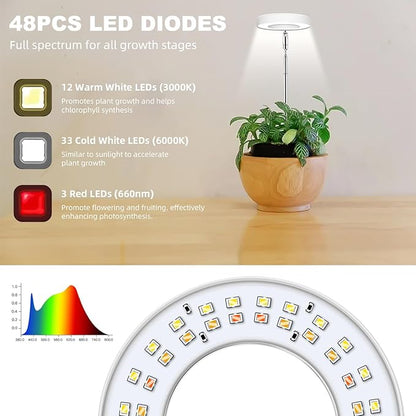 Grow Lights for Indoor Plants, Full Spectrum Halo Growing lamp with Detachable Base, Height Adjustable, 3 Colors, 10 Dimming, Automatic Timer, Plant Light for Succulents Small Plants