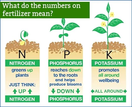 Maximize Your Garden's Potential with All-Purpose Planting and Growing Food 10-10-10 Fertilizer by Gardenera - A Must-Have for Gardening Enthusiasts - 5 Quart
