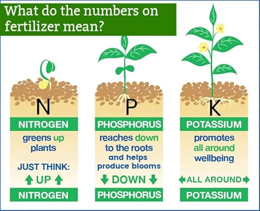 Premium All-Purpose Fertilizer 10-10-10 - Fertilizer for Vegetable Garden & Flowerbed Roses & Large Shrubs and Fruit Trees - 3 Quart